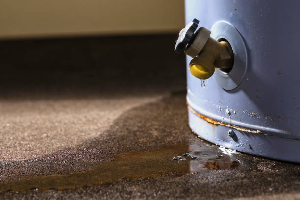 Best Professional water damage repair  in Justice, IL