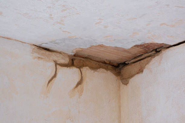 Best Basement water damage restoration  in Justice, IL