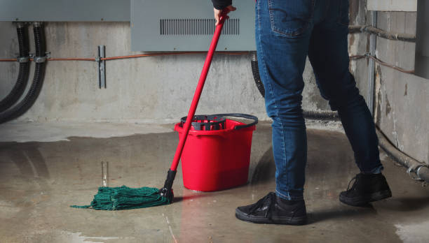 Best Flood restoration services  in Justice, IL