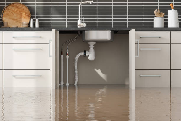 Best Water damage contractors near me  in Justice, IL