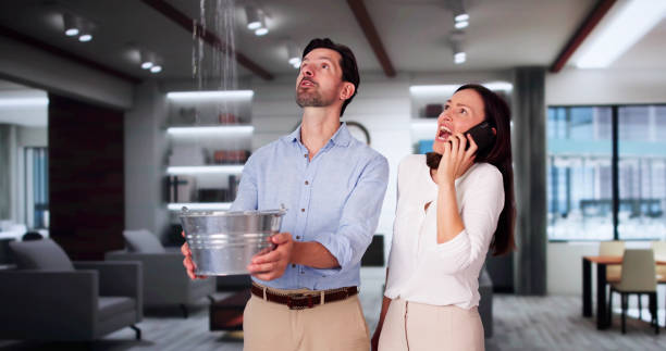  Justice, IL Water damage restoration Pros